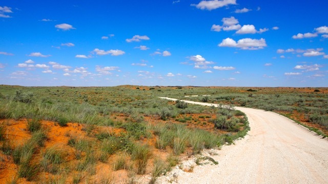 Sanddünenketten in der Kalahari, Fotografie Sabine Lueder